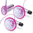 Load image into Gallery viewer, Vibrating Nipple Suckers With Clitoral Pump And Quick Release