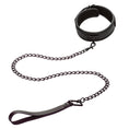 Load image into Gallery viewer, Nocturnal Collection Collar & Leash