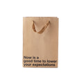 Load image into Gallery viewer, Now Is A Good Time To Lower Your Expectations 3-Pack Bag