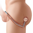 Load image into Gallery viewer, Stainless Steel Anal Hook & Cock Ring