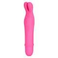 Load image into Gallery viewer, Shane’s World Bedtime Bunny Pink