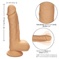 Load image into Gallery viewer, Dual Density Silicone Studs 5" Ivory