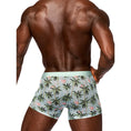 Load image into Gallery viewer, Sheer Prints Seamless Sheer Short Flamingo Medium