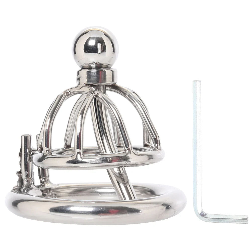 Lockmaster Stainless Steel Inverted Micro Chastity Cage With Urethral Straw