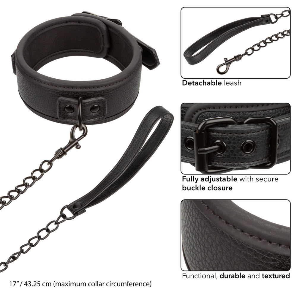 Nocturnal Collection Collar & Leash