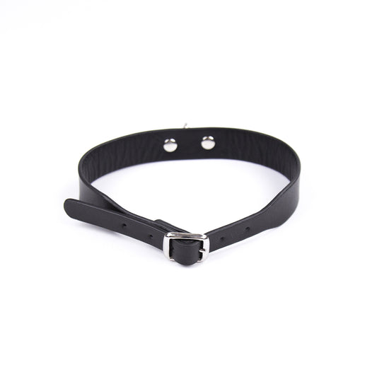 D Ring PVC Collar Black