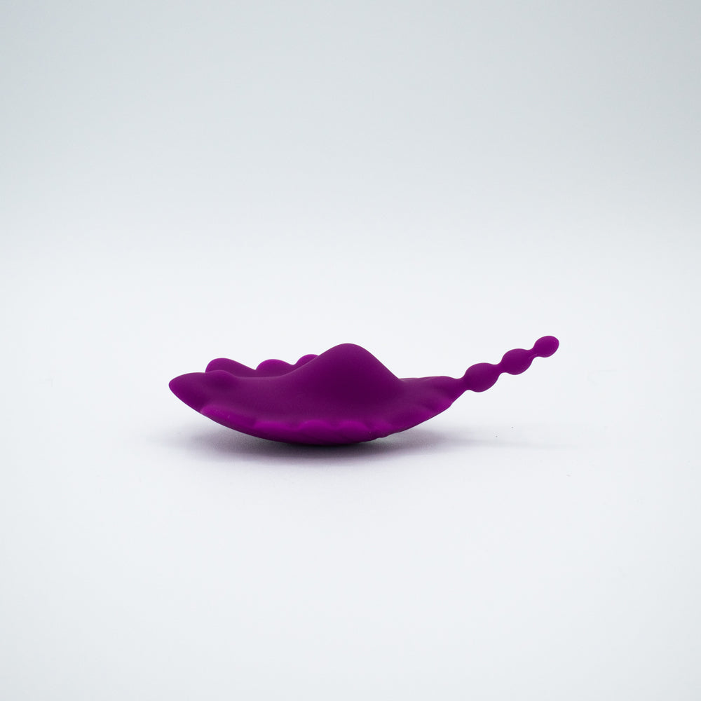 Shell Yeah! Remote Controlled Wearable Panty Vibrator