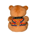 Load image into Gallery viewer, Master Series Pride Bear
