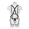 Load image into Gallery viewer, King Cock 10" Hollow Strap-On Suspender System Flesh
