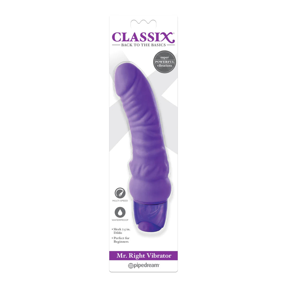 Classix Mr. Right Vibrator Purple