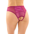 Load image into Gallery viewer, Daisy Crotchless Lace Panty Berry L/Xl
