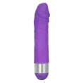 Load image into Gallery viewer, Shane's World Silicone Buddy Purple
