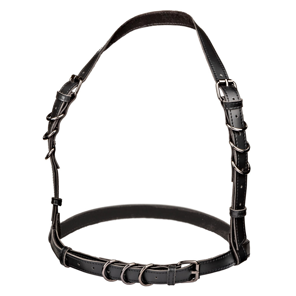 Euphoria Collection Halter Buckle Harness