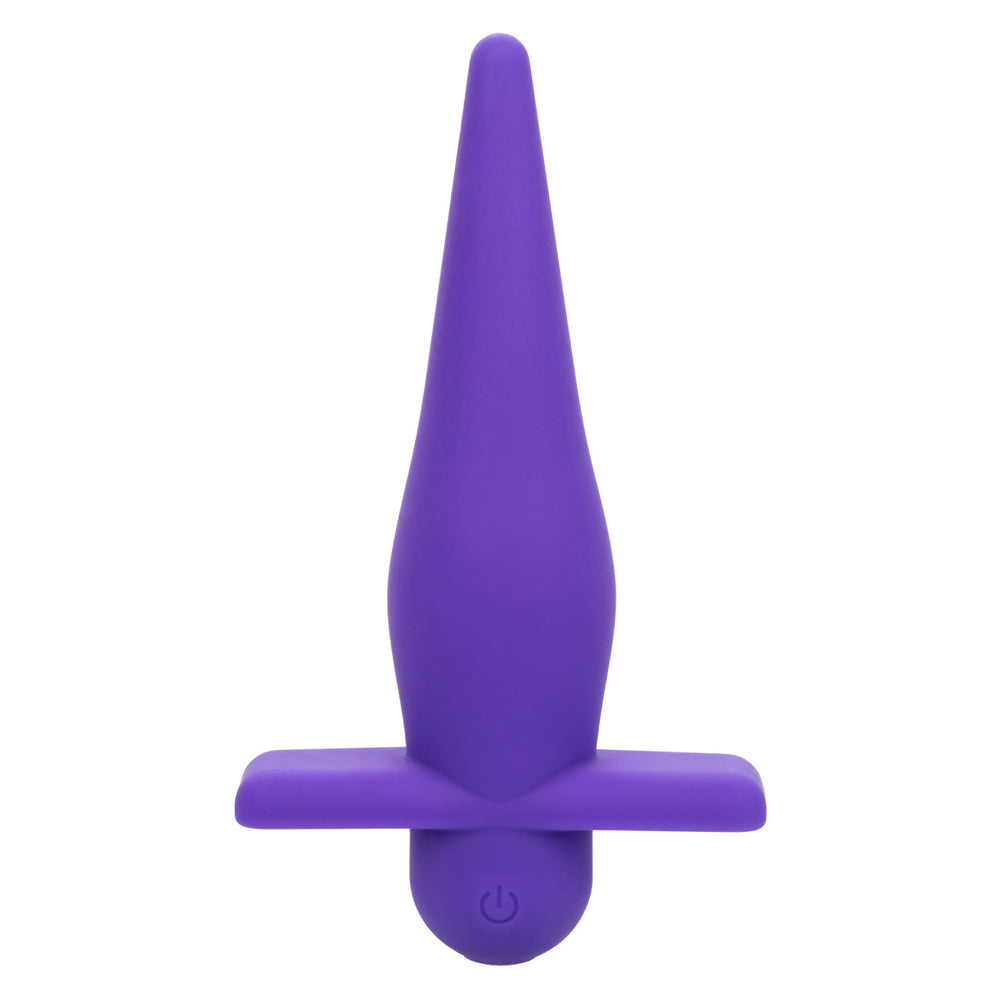 Rechargeable High Intensity Probe Purple