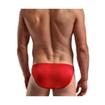 Load image into Gallery viewer, Trouser Snake Bikini Red One Size
