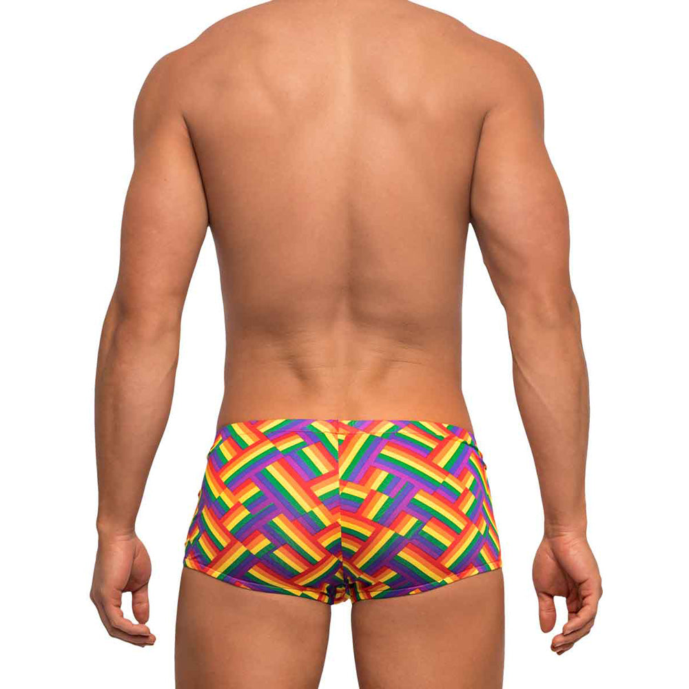 Pride Fest Mini Short Print S