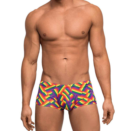 Pride Fest Mini Short Print S